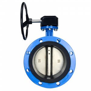 法蘭式蝸輪蝸桿蝶閥DN40，1.6Mpa（橡膠密封